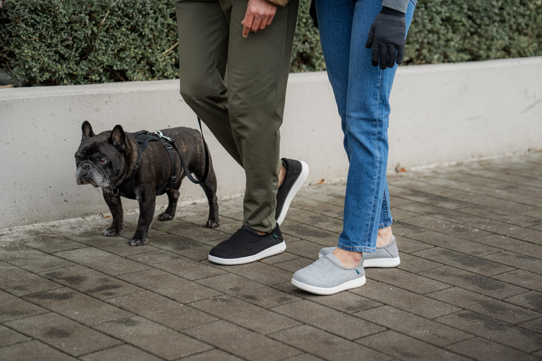 Most Comfortable Slippers to Walk Around At Home With