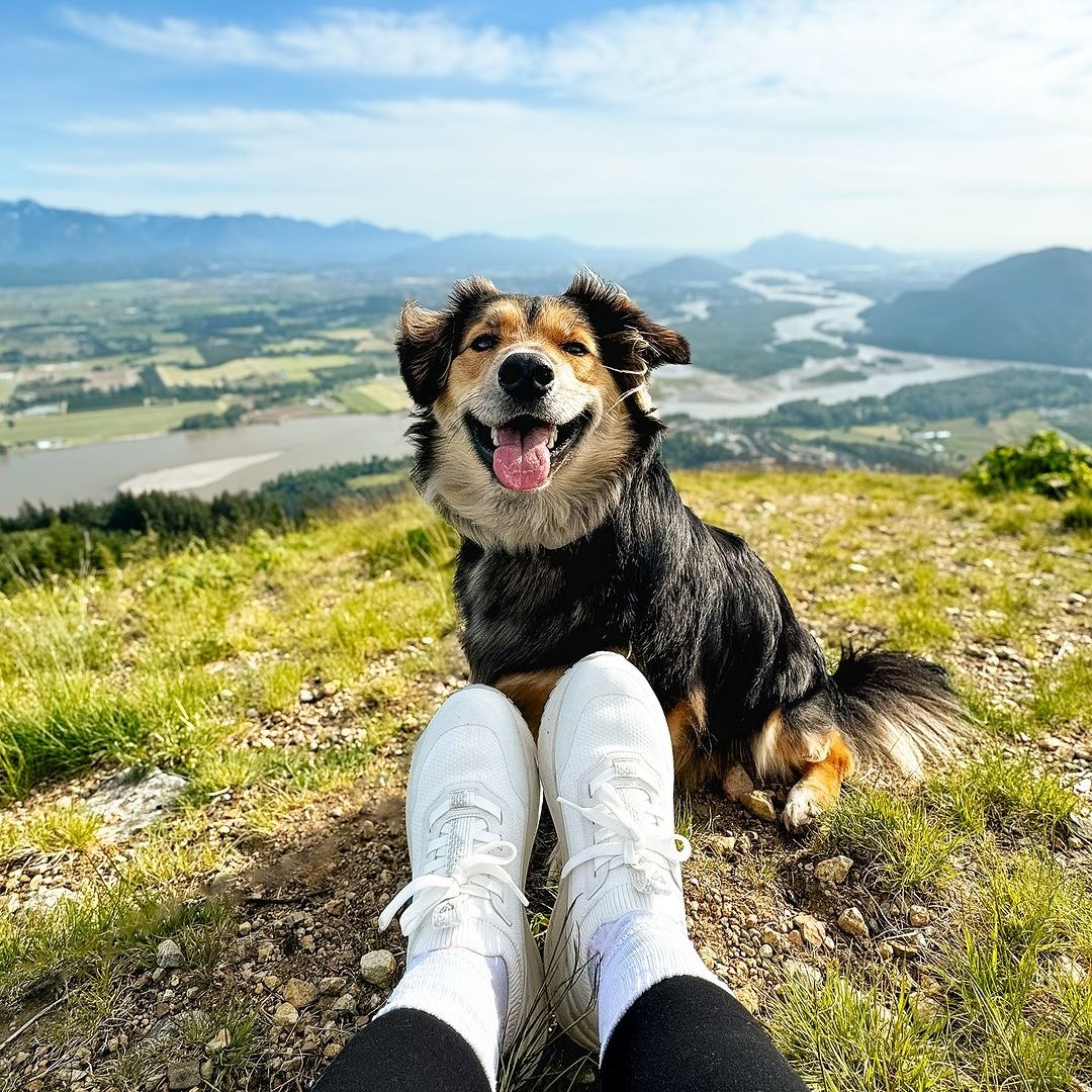 @rockymountainshorgi