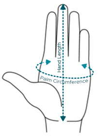 Hand Image with length and palm
